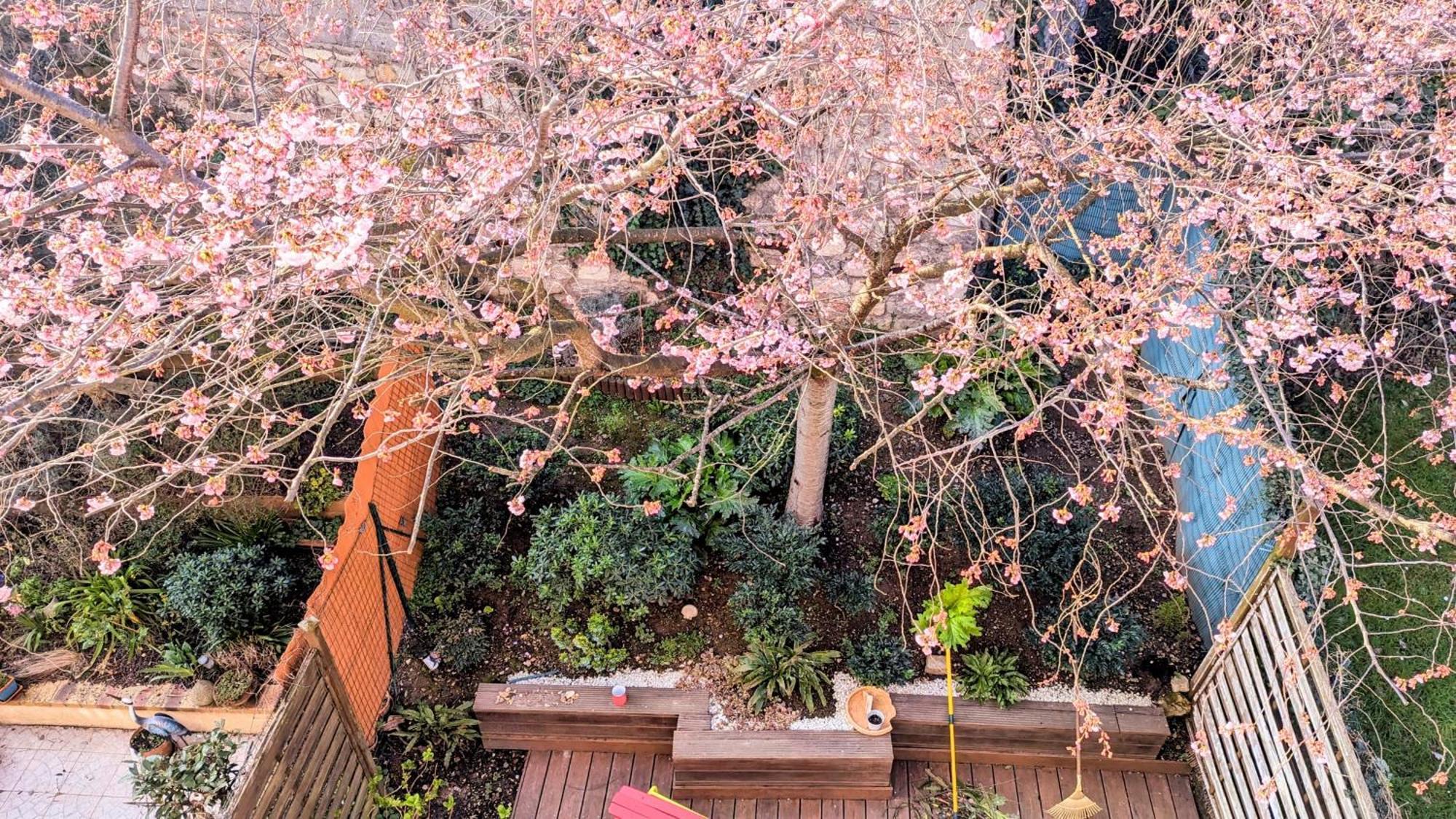 Maison Avec Jardin Au Sud De Paris Leilighet Gentilly Eksteriør bilde